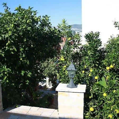 Anda * Trogir